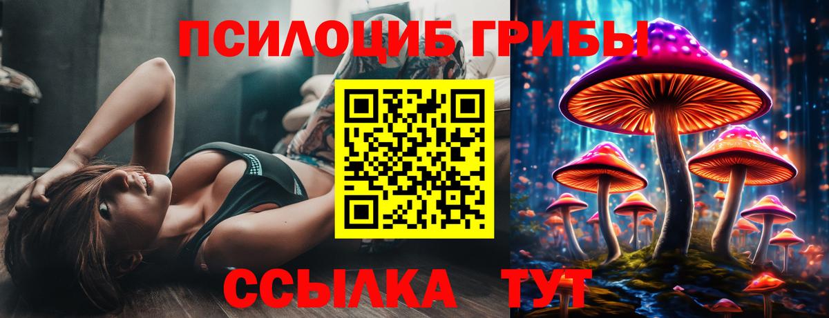 Псилоцибиновые грибы GOLDEN TEACHER  Вход с VPN  хочу наркоту  Галлюциногенные грибы Psilocybine cubensis  Семёнов 